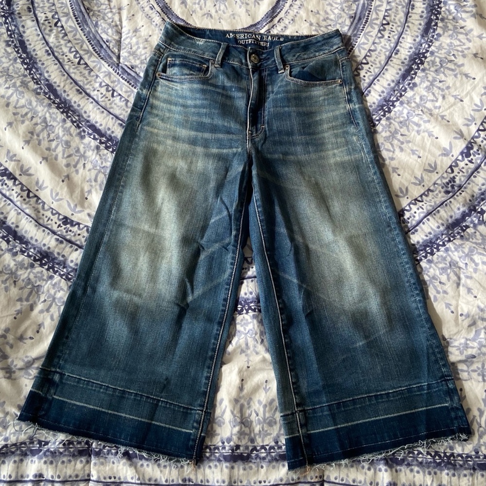 American Eagle Festival Crop Wide Leg Jeans